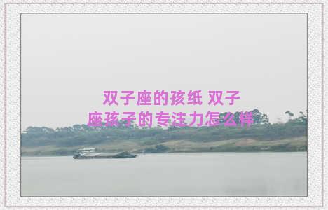 双子座的孩纸 双子座孩子的专注力怎么样